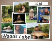 Woods Lake 2016